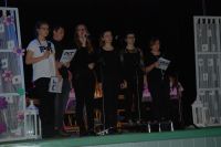 dsc 7310 (copy)